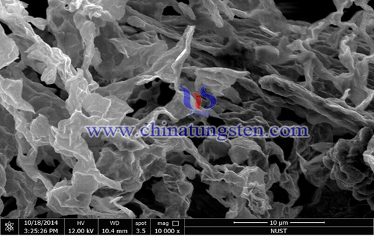 low layer tungsten disulfide SEM image